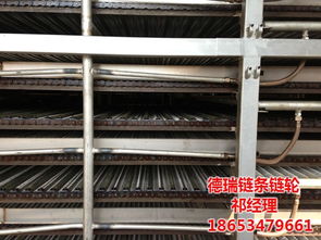 链条烘干炉网带 杭州烘干炉网带 德瑞链条链轮烘干炉网带
