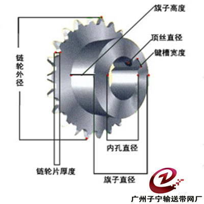厂家供应优质订制网带齿轮与链轮 广州市番禺区钟村子宁金属丝绳厂详解